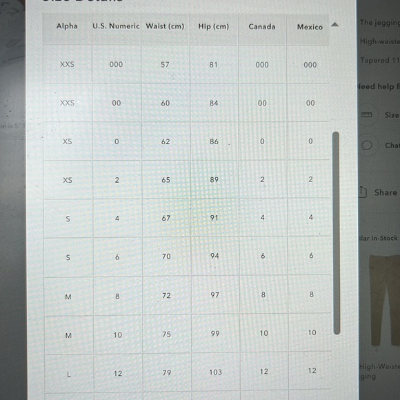 American Eagle high waisted burgundy jegging jogger - Picture 4 of 4